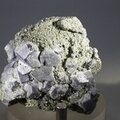 Galena & Pyrite Mineral Specimen ~56mm