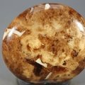 Garnet in Limestone Polished Stone ~39mm