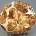 Garnet in Limestone Polished Stone ~43mm