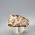 Garnet in Limestone Tumblestone ~36mm