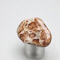 Garnet in Limestone Tumblestone ~36mm