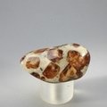 Garnet in Limestone Tumblestone ~37mm