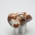 Garnet in Limestone Tumblestone ~37mm