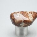 Garnet in Limestone Tumblestone ~39mm