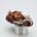 Garnet in Limestone Tumblestone ~40mm