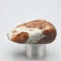 Garnet in Limestone Tumblestone ~40mm