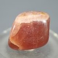 Gem Rhodochrosite Tumblestone  ~27mm