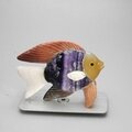 Gemstone Fish Carving ~74x51mm
