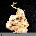 Gold Crystal - Micro Specimen