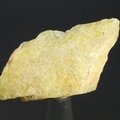 Gold Danburite Healing Crystal ~44mm