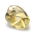 Gold Scapolite Tumble Stone