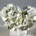 Golden Iron Pyrite Complex Healing Mineral (Collector Grade) ~55mm