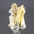 Golden Rutile with Hematite Healing Mineral ~32mm