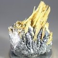Golden Rutile with Hematite Healing Mineral ~35mm