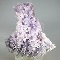 Grape Agate Healing Mineral ~80mm