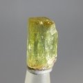 Green Apatite Healing Crystal ~20mm