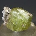 Green Apatite Healing Crystal ~28mm