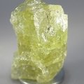 Green Apatite Healing Crystal ~31mm