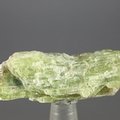 Green Kyanite Healing Crystal ~40mm