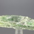 Green Kyanite Healing Crystal ~46mm
