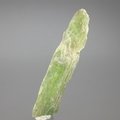 Green Kyanite Healing Crystal ~54mm