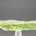 Green Kyanite Healing Crystal ~55mm