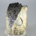 Green Sheen Tourmaline Healing Crystal ~60mm