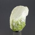 Green Tourmaline Healing Crystal ~25mm