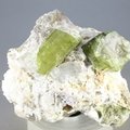 Green Tourmaline Healing Crystal ~50mm
