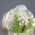 Green Tourmaline Healing Crystal ~54mm