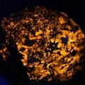 Hackmanite Healing Mineral ~55mm