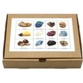 Healing Mineral Starter Box - Pack of 12