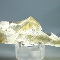 Honey Gypsum Healing Crystal ~140mm