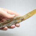 Honey Gypsum Healing Crystal ~193mm