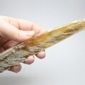 Honey Gypsum Healing Crystal ~193mm