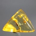 Insect in Amber Specimen ~35mm