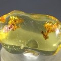Insect in Amber Specimen ~36mm