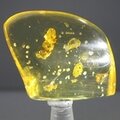 Insect in Amber Specimen ~48mm