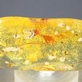 Insect in Amber Specimen ~52mm
