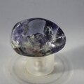 Iolite Sunstone Tumblestone ~35mm