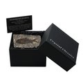 Jianghanichthys - Fossil Black Fish Gift Box