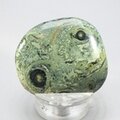 Kambaba Jasper Flat Tumblestone ~40mm