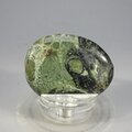 Kambaba Jasper Flat Tumblestone ~40mm