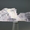Kunzite Healing Crystal ~60mm