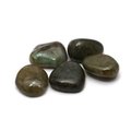 Labradorite Mini Tumble Stone - Pack Of 5
