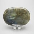 Labradorite Palmstone (Extra Grade) ~70 x 50 mm