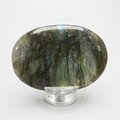 Labradorite Palmstone (Extra Grade) ~70 x 50 mm