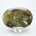 Labradorite Palmstone (Extra Grade) ~70x50mm