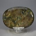 Labradorite Palmstone (Extra Grade) ~70x50mm