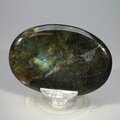 Labradorite Palmstone (Extra Grade) ~70x50mm